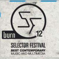 iv-burn-selector-festival