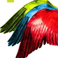 patronat-meakultury-festiwal-forum-musicum