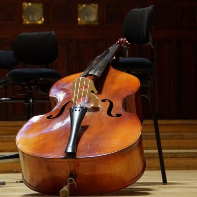 muzyk-i-jego-instrument-instrument-i-jego-muzyk-wizerunek-kontrabasisty-w-prozie-philipa-dimitri-galasa-i-patricka-suskinda